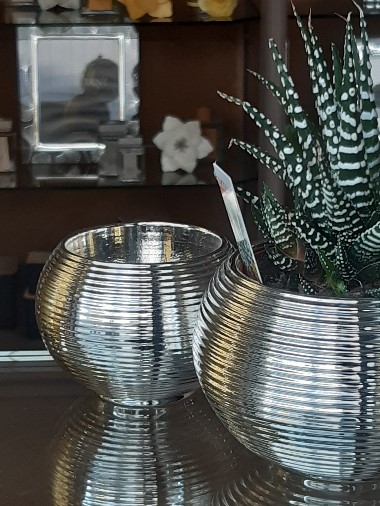 Edoardo Zanotti - Casalinghi