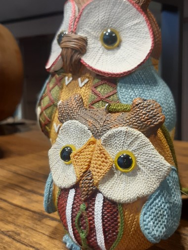 Edoardo Zanotti - Casalinghi