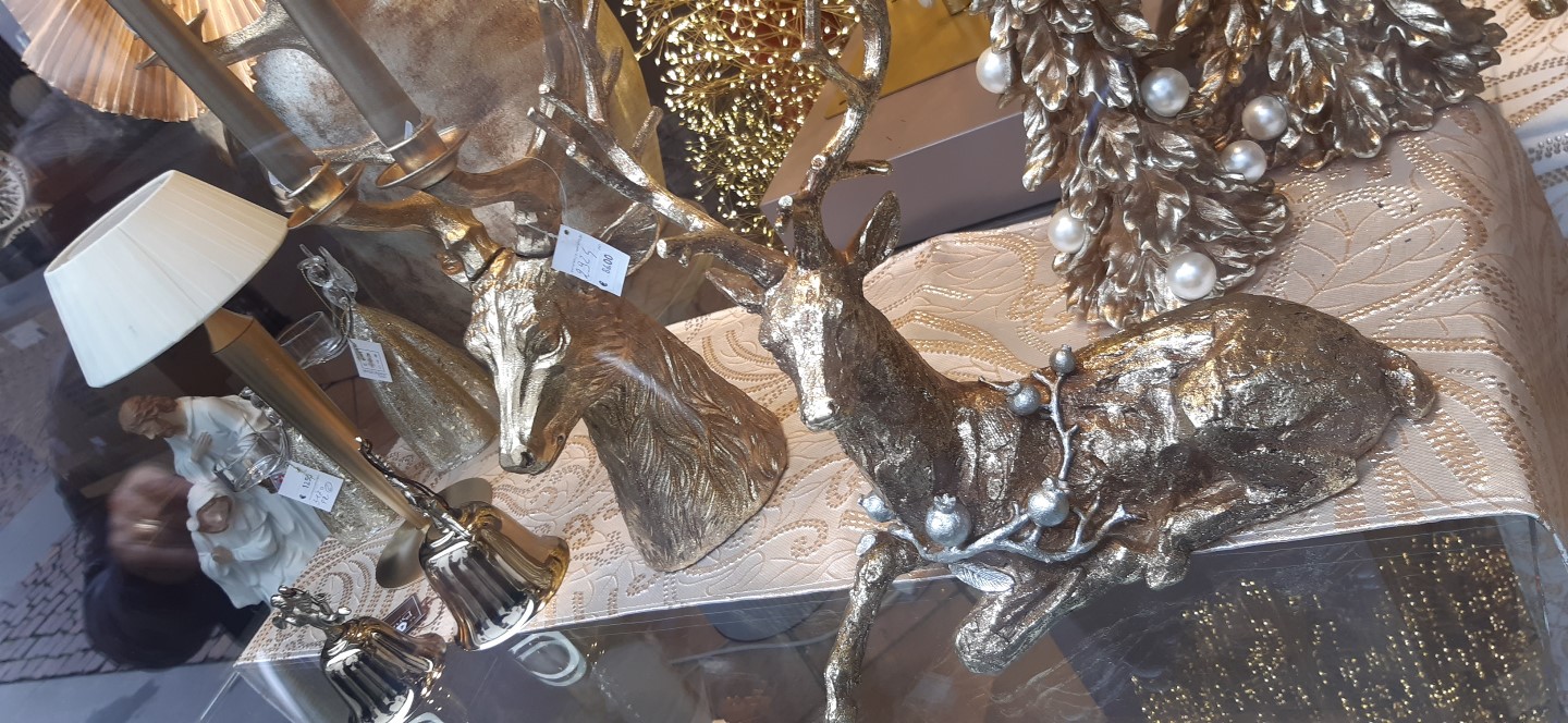 Edoardo Zanotti - Rivenditore Bruco