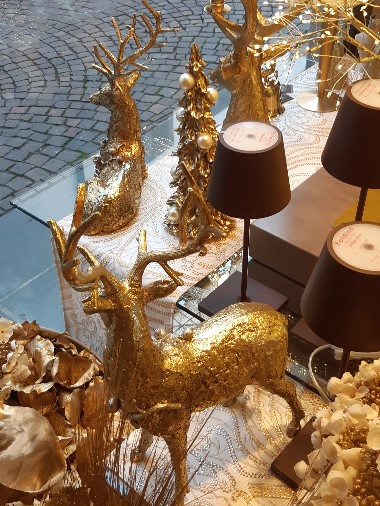 Edoardo Zanotti - Rivenditore Bruco