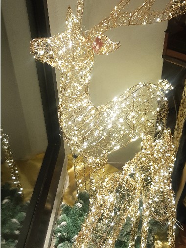 Edoardo Zanotti - Rivenditore Bruco