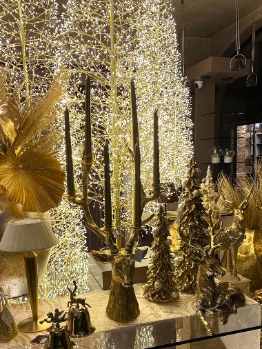 Edoardo Zanotti - Rivenditore Bruco