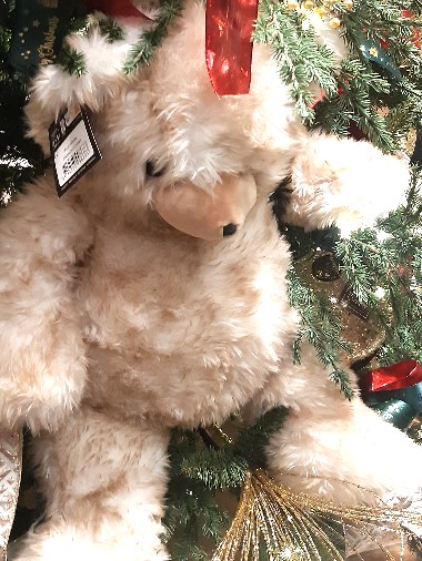 Edoardo Zanotti - Natale e festività