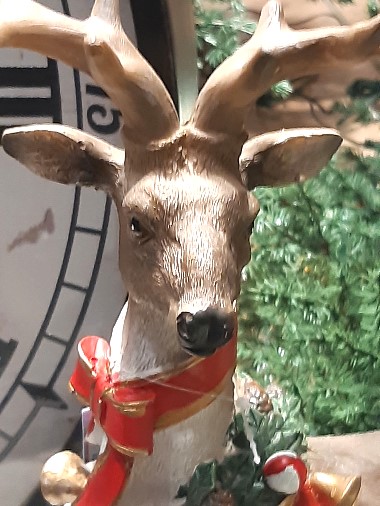 Edoardo Zanotti - Natale e festività