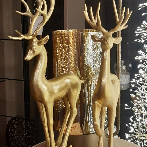 Edoardo Zanotti prodotti negozio in Spirano